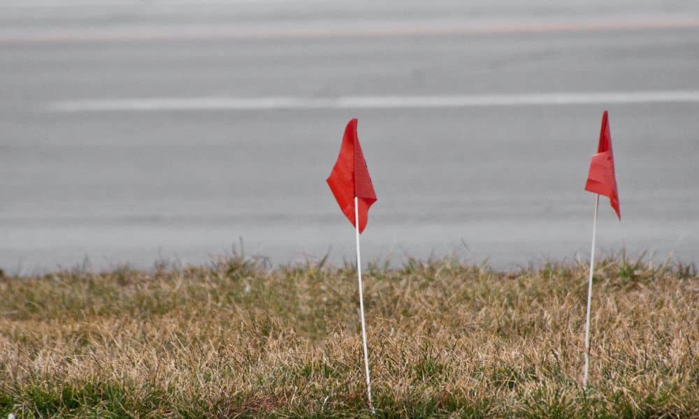 Red survey flags marking a corner point that helps define a boundary line survey