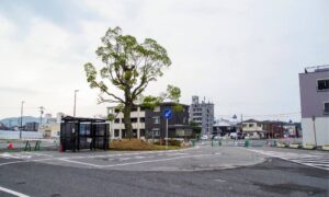 Land surveyor site showing an open lot being reviewed for a due diligence survey before apartment redevelopment