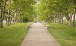 Public park walkway where stormwater design helps manage surface runoff safely