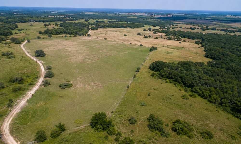 Aerial view of a large rural property in Texas with open fields, wooded areas, and a dirt access road