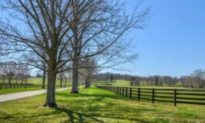 Rural road and fenced property where a boundary line survey helps clarify land ownership and access
